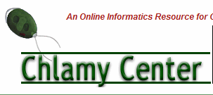 ChlamyCenters