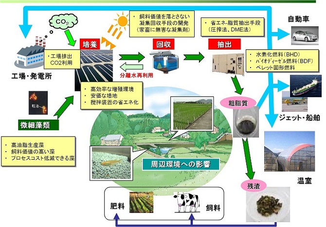 図1.微細藻類バイオマスの地域活性化への利用