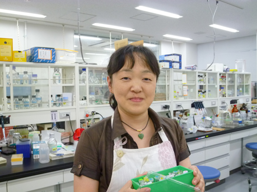 Takako Kato-Minoura