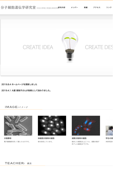 MEMBER of 分子細胞遺伝学研究室（村上研究室）